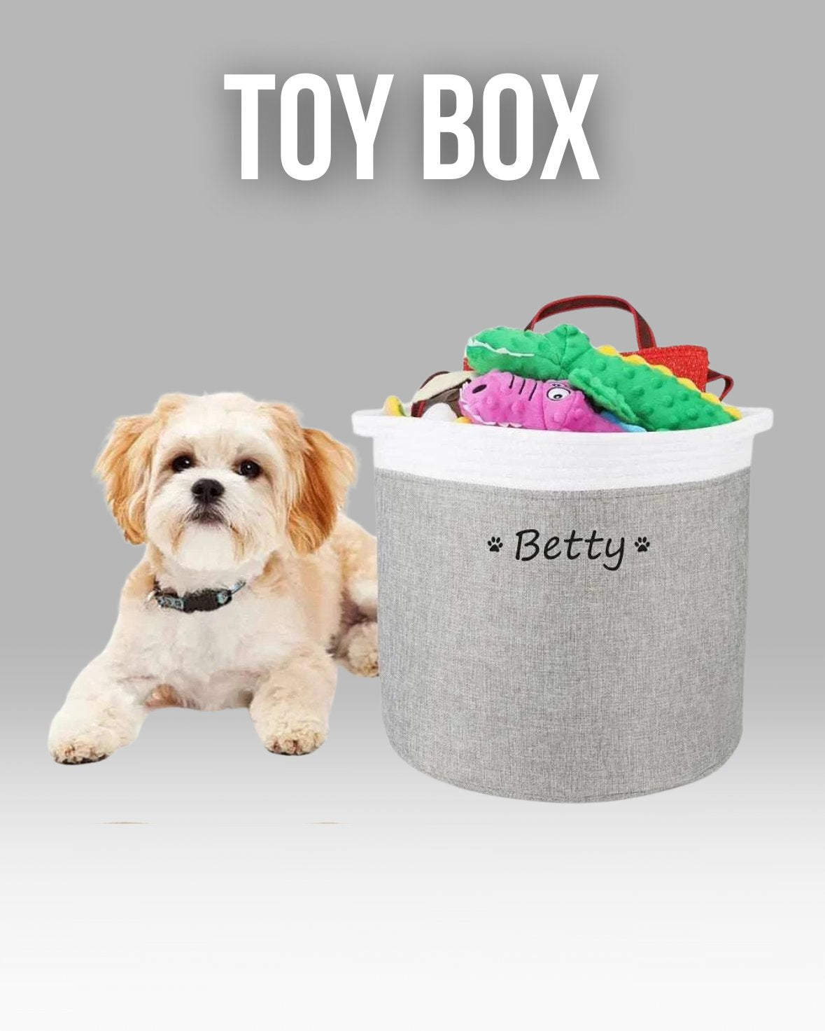 Dog Toy Box