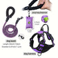 3-Piece No Pull Harness Set