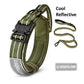 dog collar and leash set