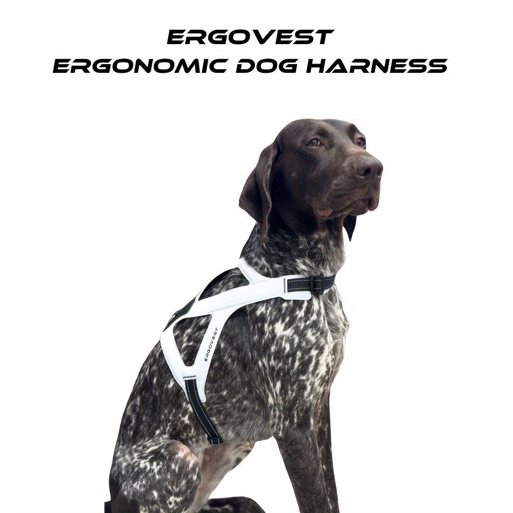 easy walk harness