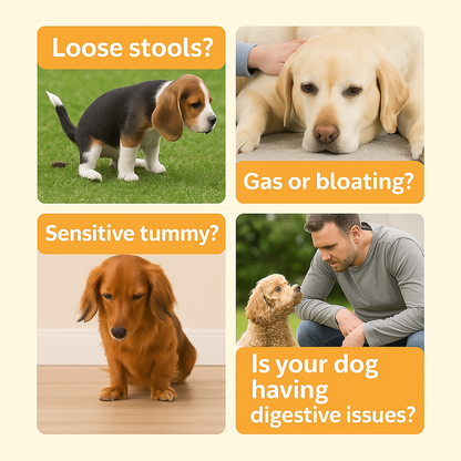 Dog Probiotics
