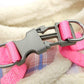 Comfort harness with leash-DOGERYS