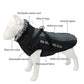 dog raincoat