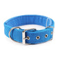 dog collars