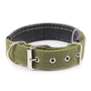 dog collars