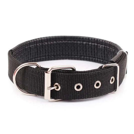 dog collars