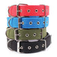 dog collars