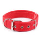 dog collars