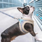 Comfort harness with leash-DOGERYS