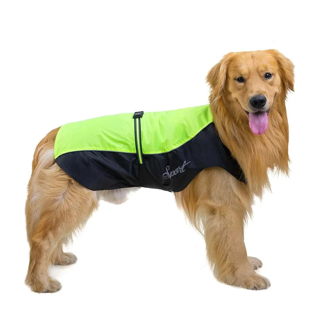 Dog Raincoat 