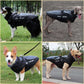 dog raincoat