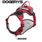 Dog Harness With Name-DOGERYS