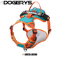 Dog Harness With Name-DOGERYS