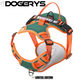 Dog Harness With Name-DOGERYS