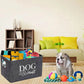 Dog Toy Box