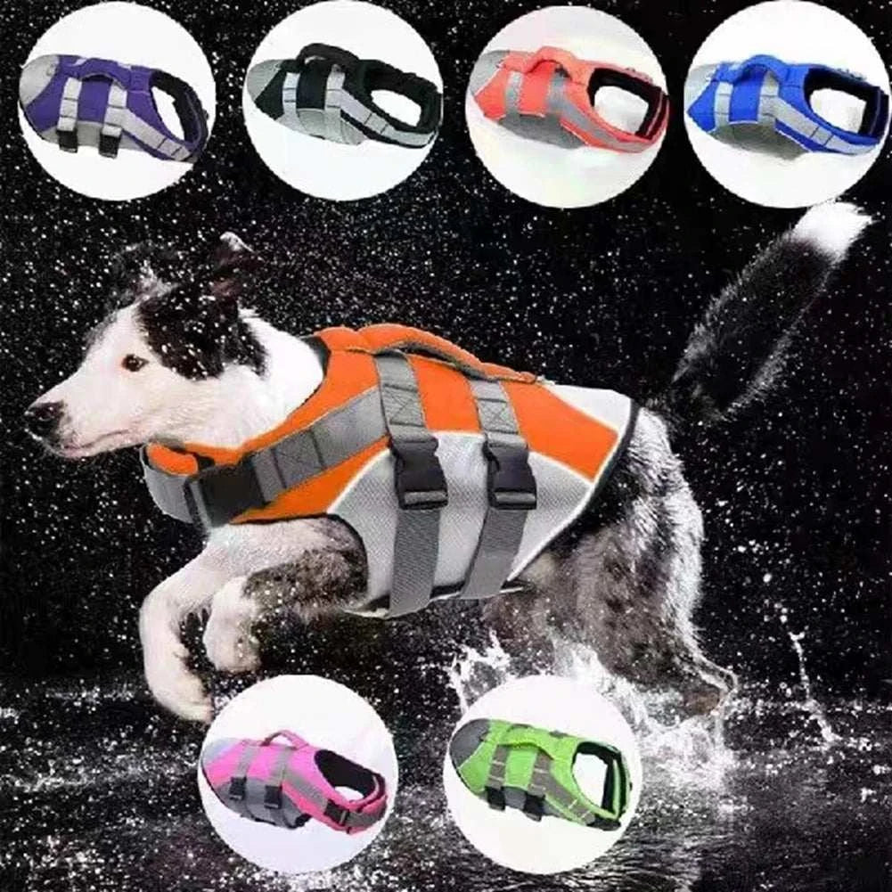 dog life jacket