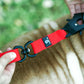 Dog collar and lead set-DOGERYS