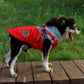 Dog Raincoat