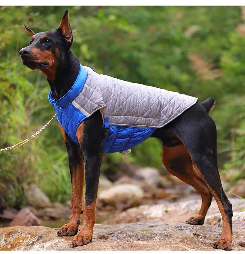 Dog Jacket