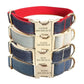 Personalized Dog Collar With Matching Leash-DOGERYS