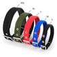 dog collars