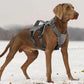 Reflective Comfort Fit Dog Harness