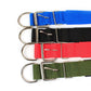 dog collars