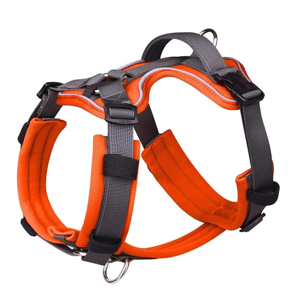 No pull dog harness