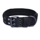 Dog Collars