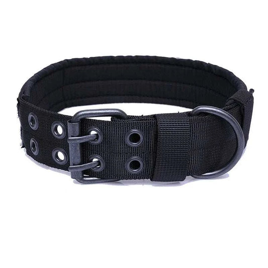 Dog Collars