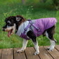 Dog Raincoat