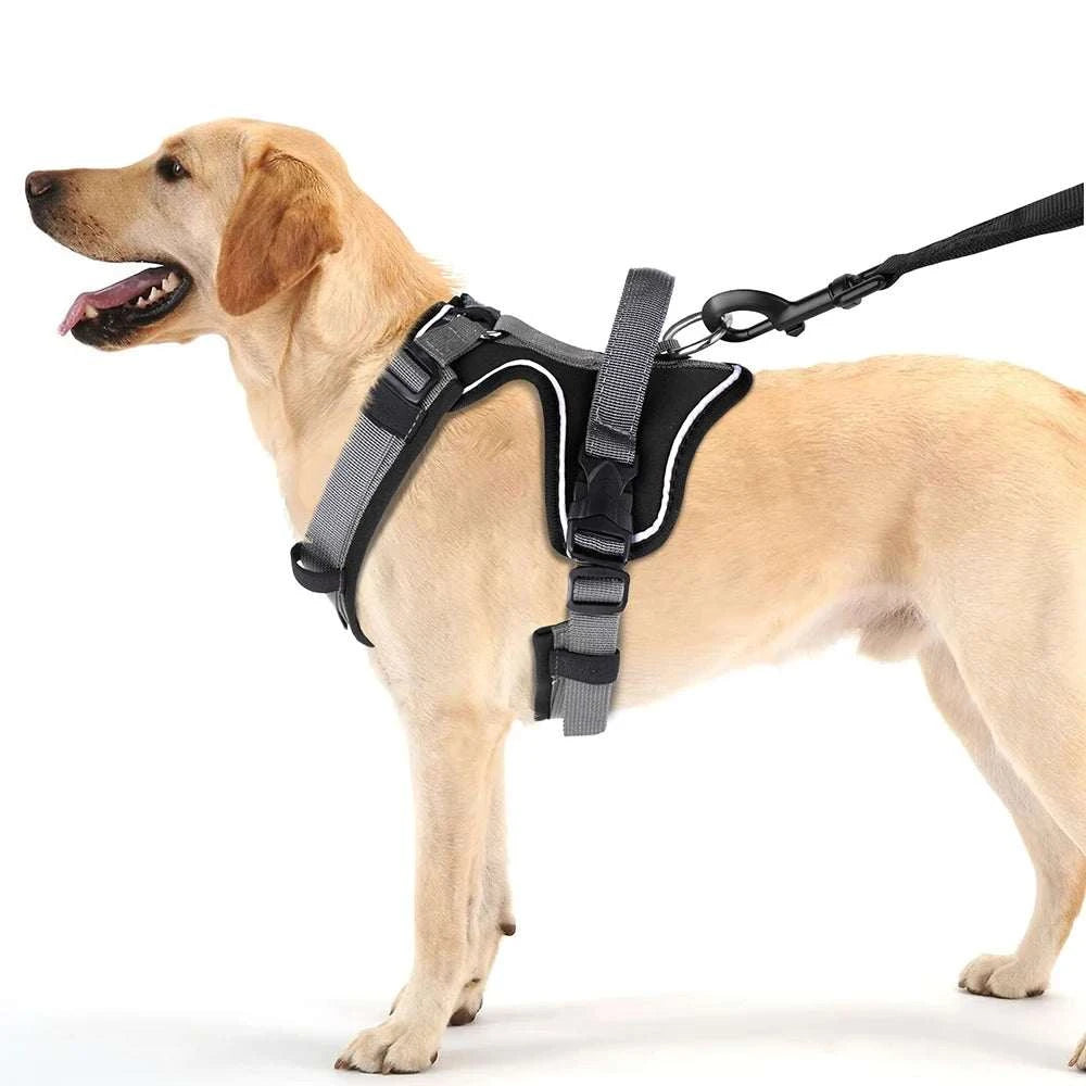 No pull dog harness