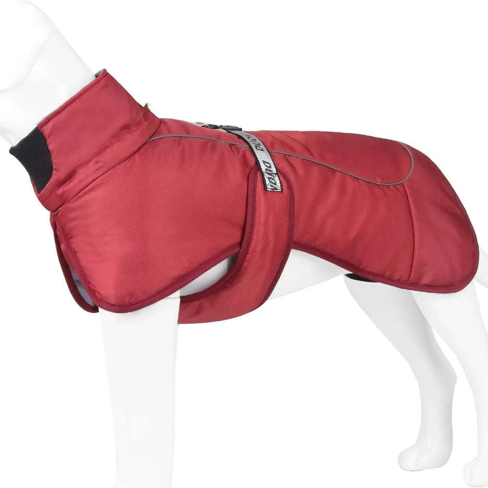 Waterproof dog coat