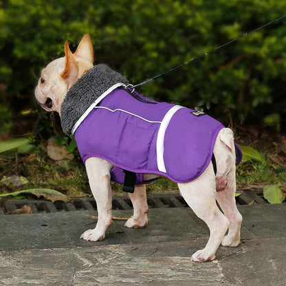 Waterproof Insulated Dog Jacket