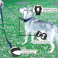 Dog collar and lead set-DOGERYS