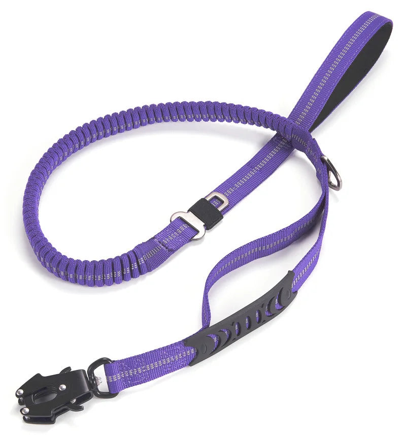 Purple No Pull Dog Lead-DOGERYS