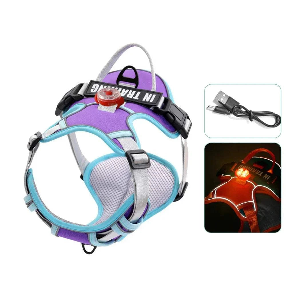 Personalized USB Charged Light Dog Harness