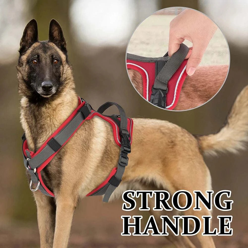 No pull dog harness