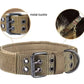 Dog Collars