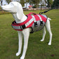 dog life jacket