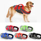 dog life jacket