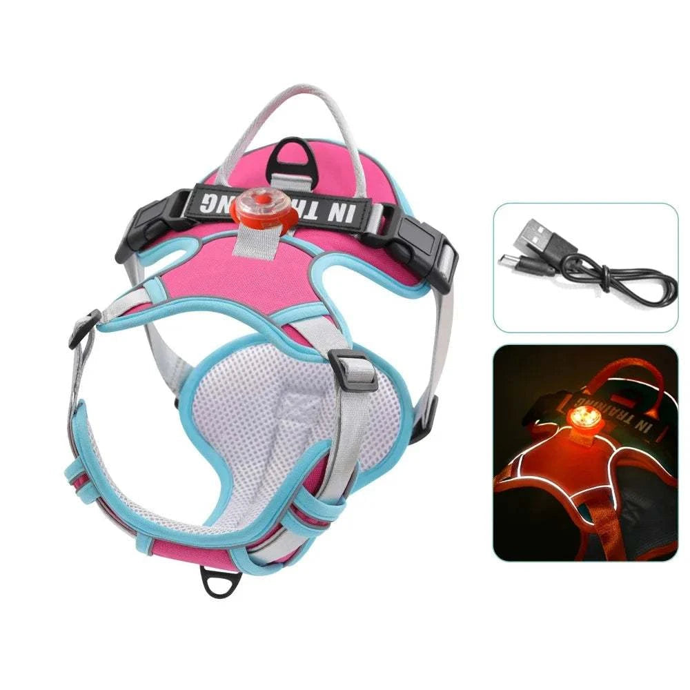 Personalized USB Charged Light Dog Harness