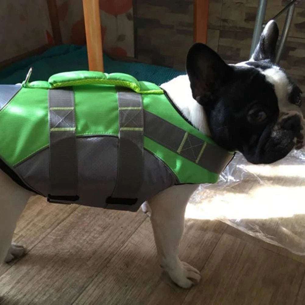 dog life jacket