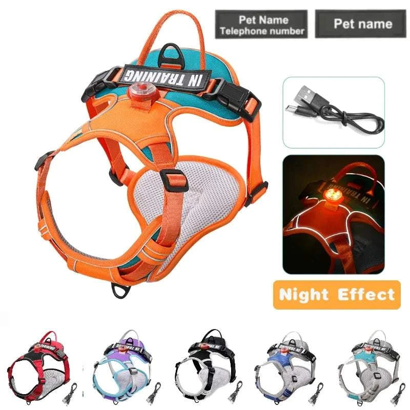 Personalized USB Charged Light Dog Harness