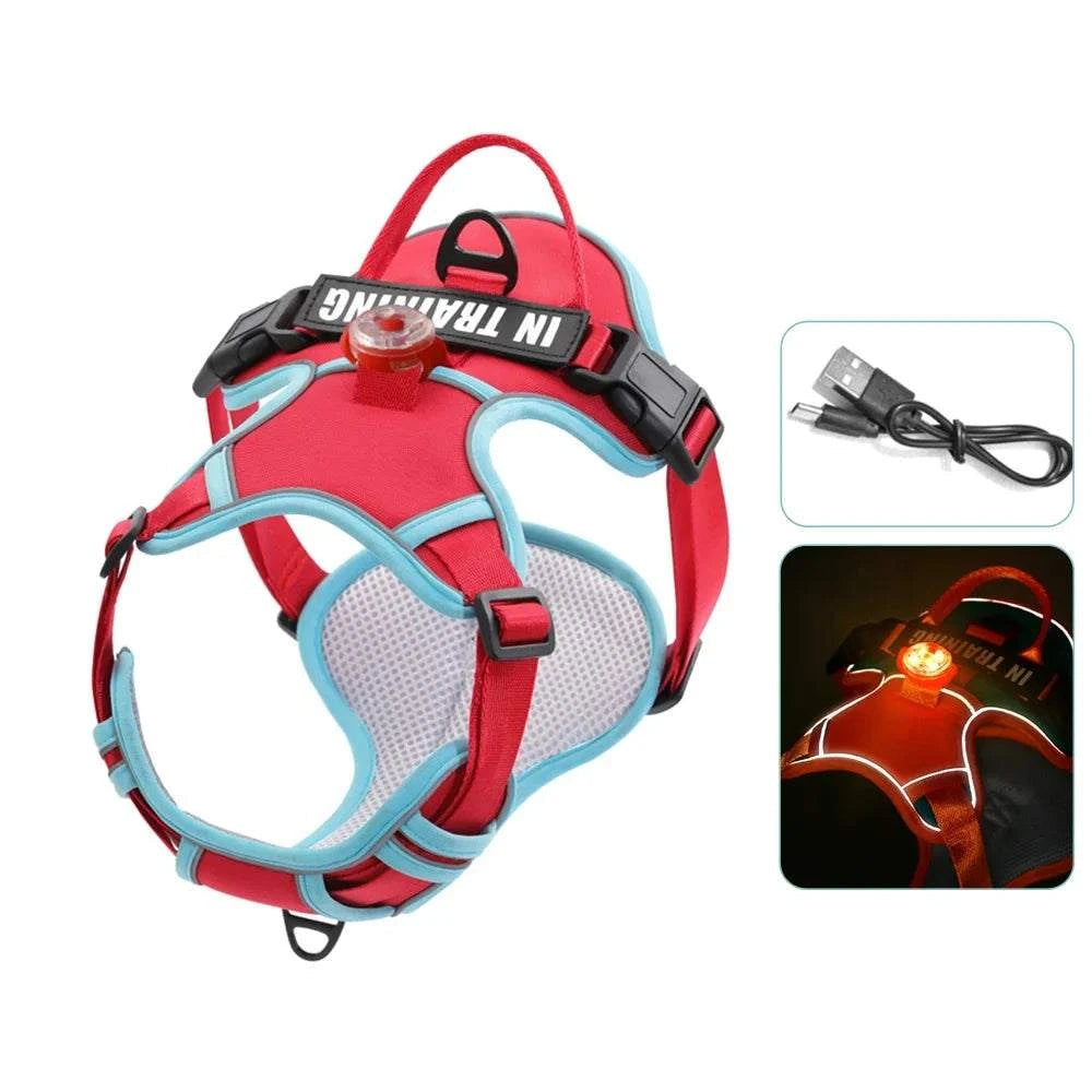 Personalized USB Charged Light Dog Harness