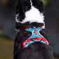 Premium No Pull Dog Harness-DOGERYS