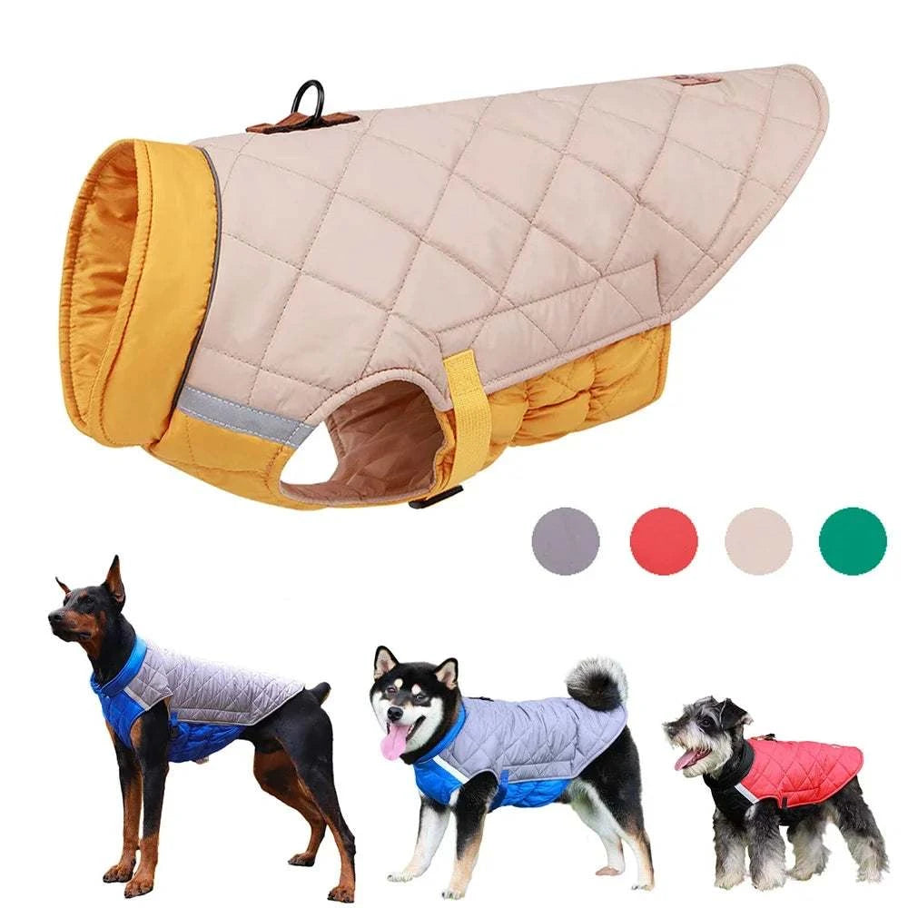 Dog Jacket