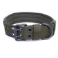 Dog Collars