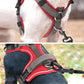 No pull dog harness