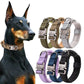 Dog Collars